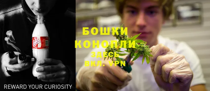 цена   Беломорск  Бошки Шишки SATIVA & INDICA 